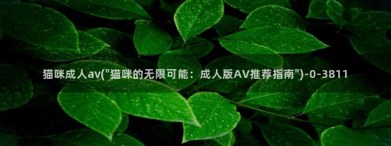 日本AV在线不卡